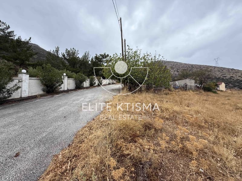 Parcel in Venio Daskaleiou, Keratea — Photo 4 of 6