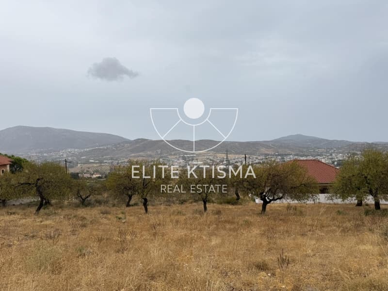Parcel in Venio Daskaleiou, Keratea — Photo 2 of 6