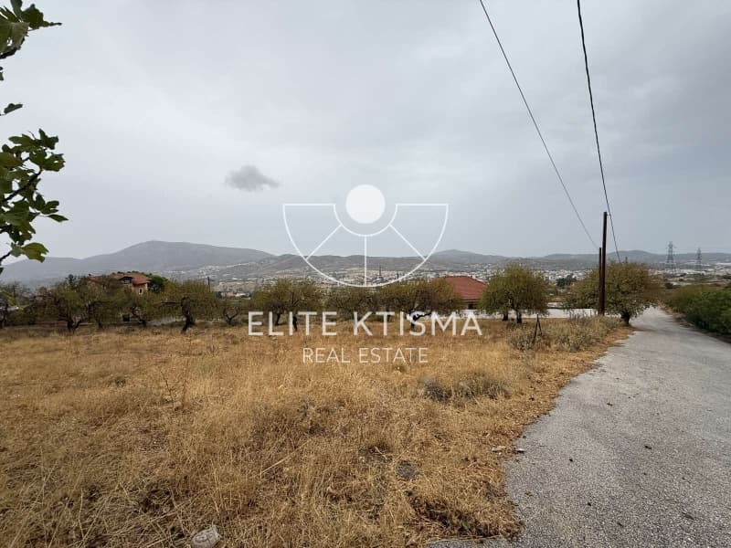 Parcel in Venio Daskaleiou, Keratea — Photo 6 of 6