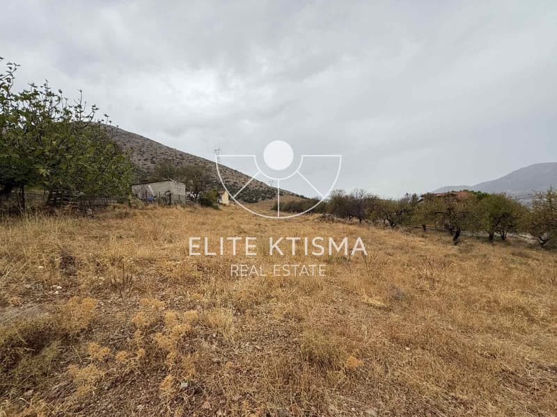 Parcel in Venio Daskaleiou, Keratea — Photo 5 of 6