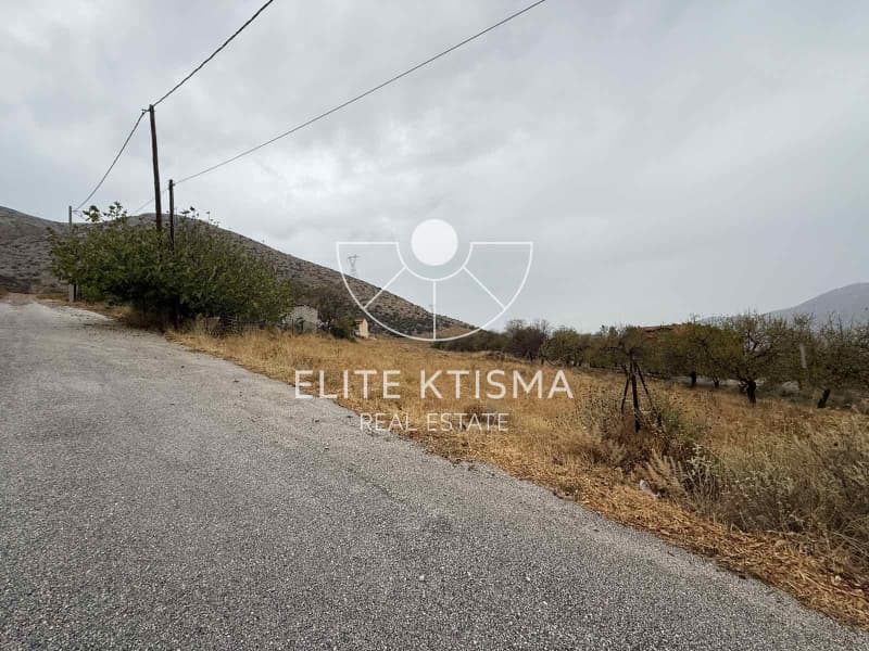 Parcel in Venio Daskaleiou, Keratea — Photo 3 of 6