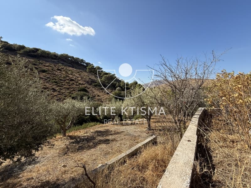 Μονοκατοικία στην Σάκκα, Κερατέα — Φωτογραφία 30 από 30