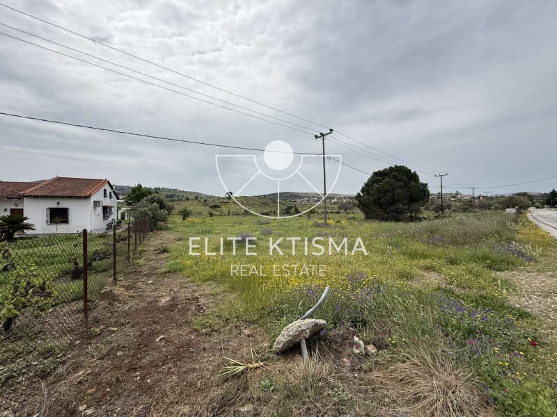 Parcel in Mitropisi, Keratea — Photo 3 of 7