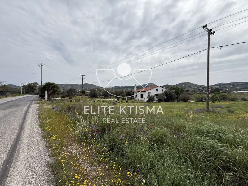 Parcel in Mitropisi, Keratea — Photo 4 of 7