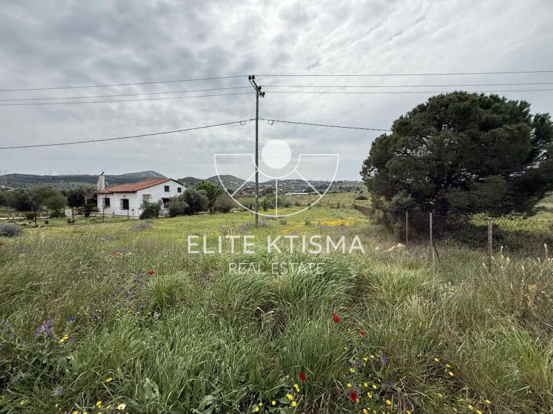 Parcel in Mitropisi, Keratea — Photo 5 of 7