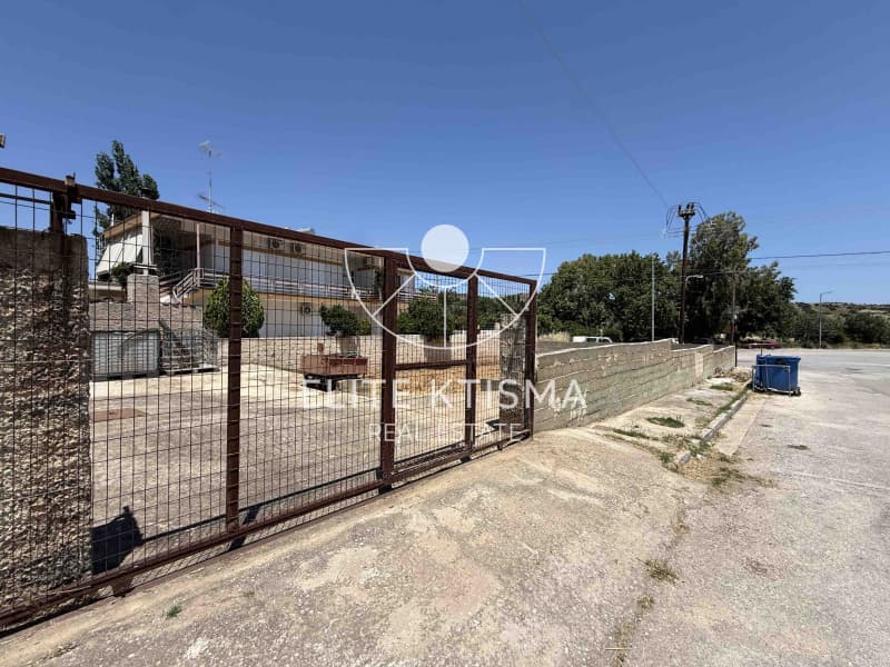 Building Plot in Venio Daskaleiou, Keratea — Photo 3 of 6