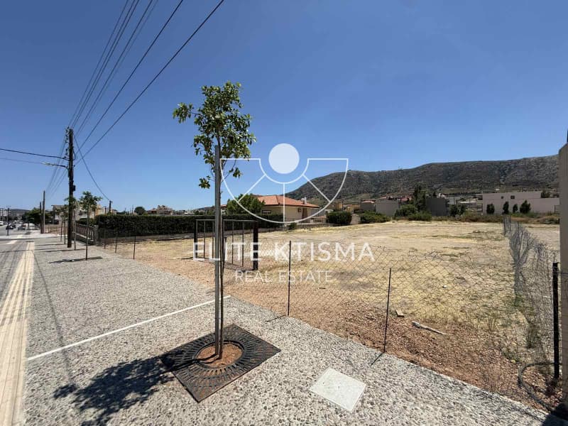Building Plot in Venio Daskaleiou, Keratea — Photo 6 of 7