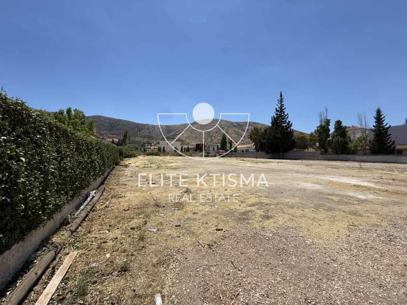 Building Plot in Venio Daskaleiou, Keratea — Photo 2 of 7