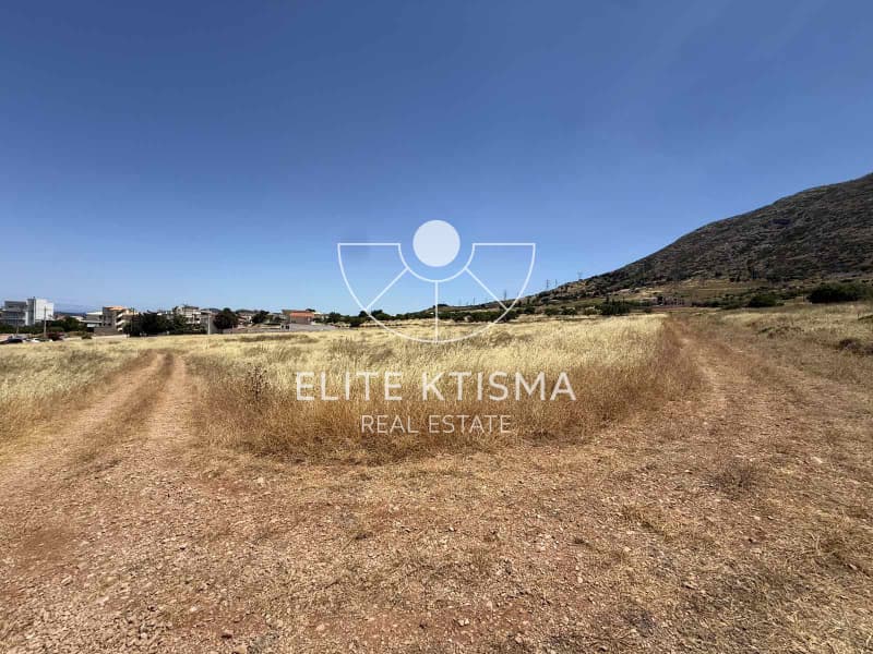 Building Plot in Venio Daskaleiou, Keratea — Photo 2 of 6