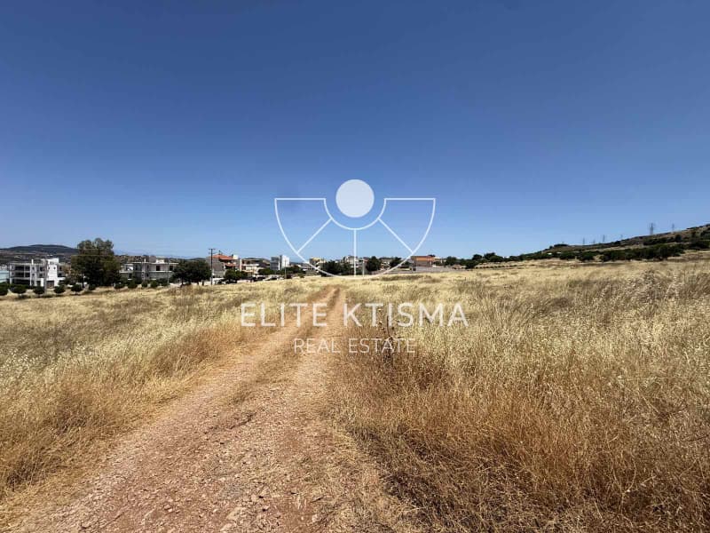 Building Plot in Venio Daskaleiou, Keratea — Photo 5 of 6
