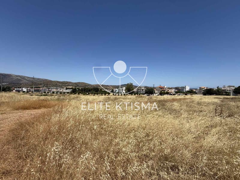 Building Plot in Venio Daskaleiou, Keratea — Photo 4 of 6