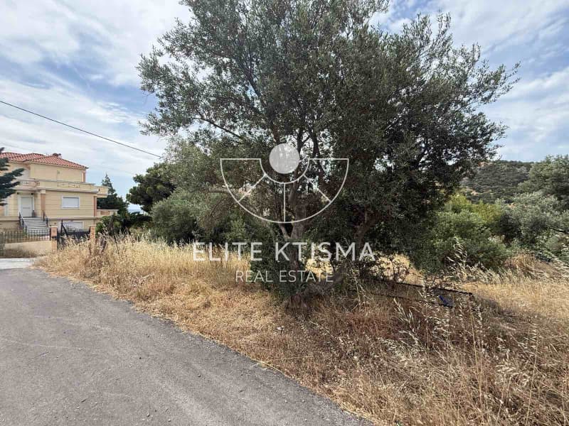 Building Plot in Plaka, Keratea — Photo 4 of 4