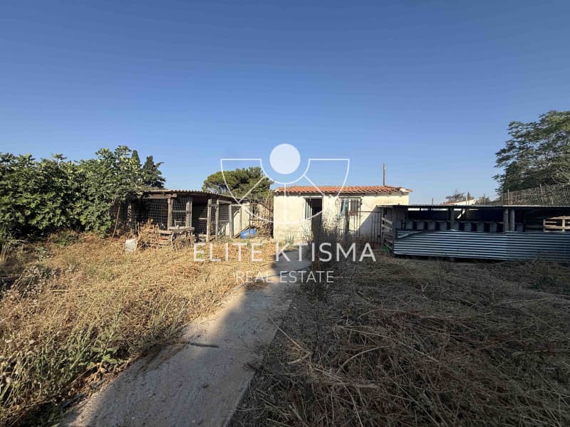 Οικόπεδο στην Βένιο Δασκαλειού, Κερατέα — Φωτογραφία 4 από 6