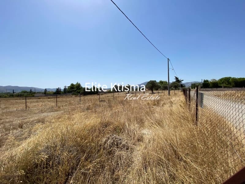 Parcel in Venio Daskaleiou, Keratea — Photo 10 of 11