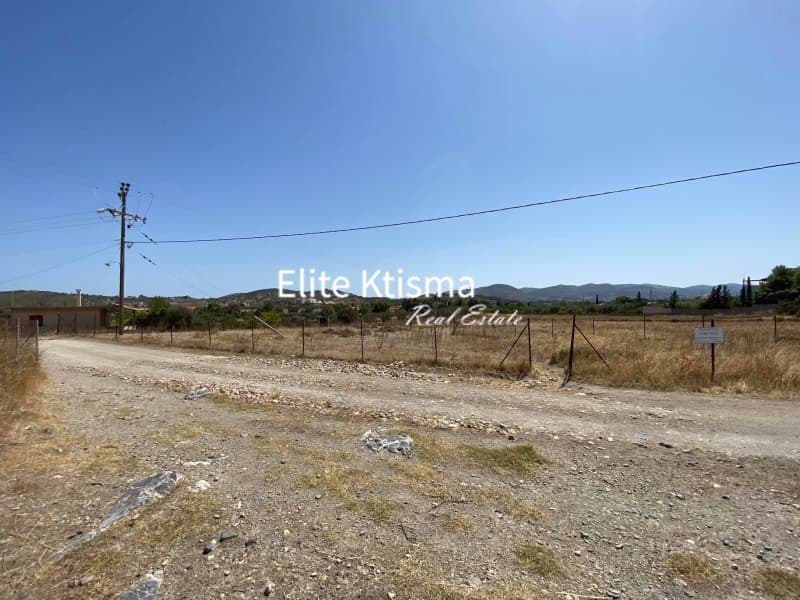 Parcel in Venio Daskaleiou, Keratea — Photo 4 of 11