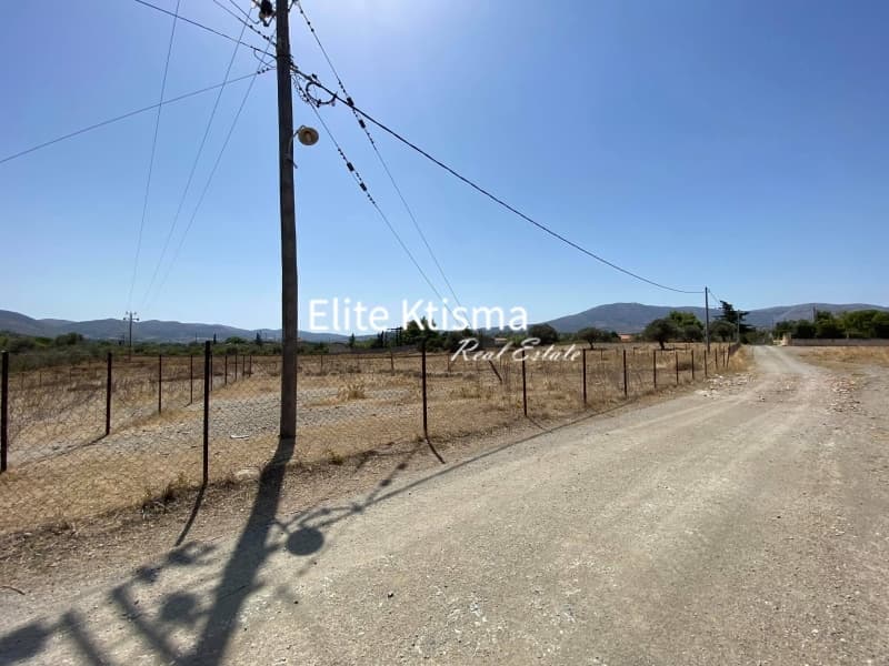 Parcel in Venio Daskaleiou, Keratea — Photo 1 of 11