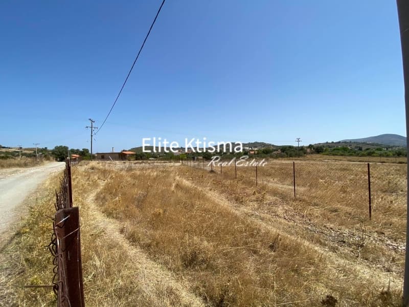 Parcel in Venio Daskaleiou, Keratea — Photo 5 of 11