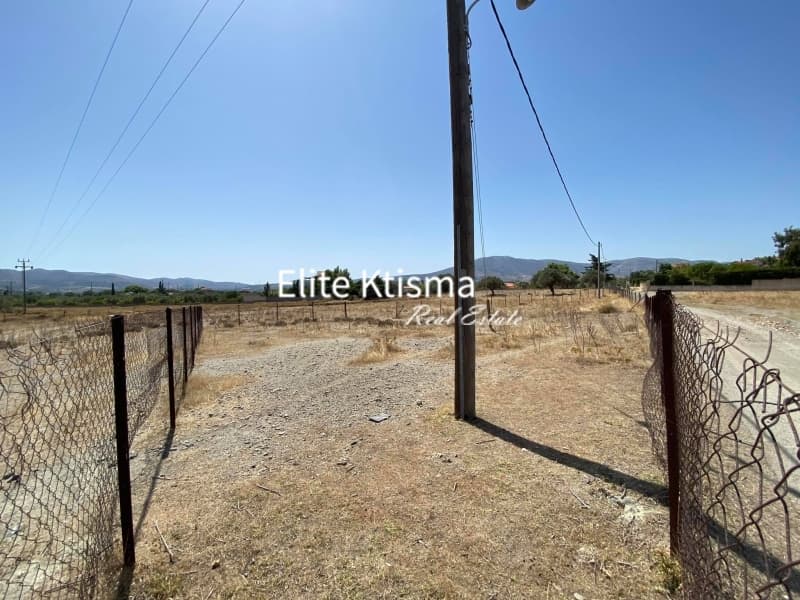 Parcel in Venio Daskaleiou, Keratea — Photo 7 of 11