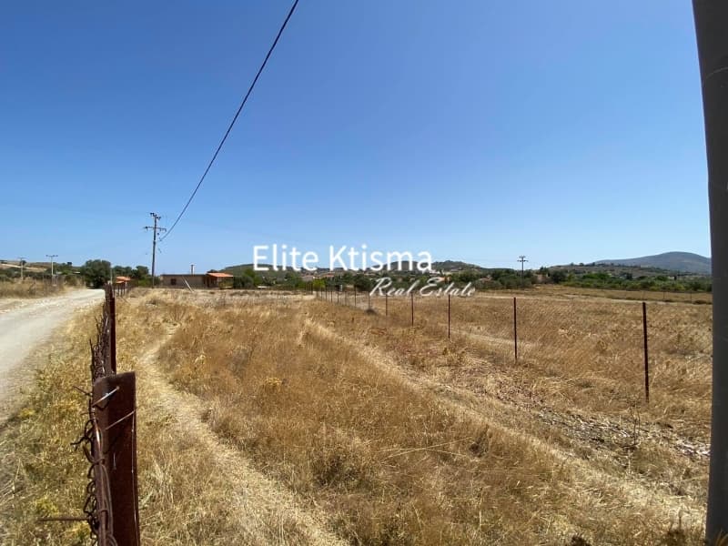 Parcel in Venio Daskaleiou, Keratea — Photo 6 of 11