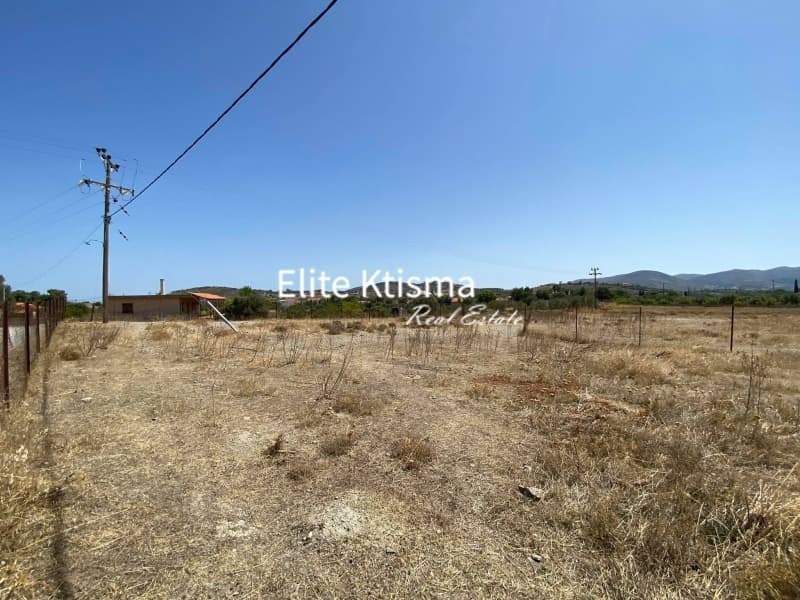 Parcel in Venio Daskaleiou, Keratea — Photo 3 of 11
