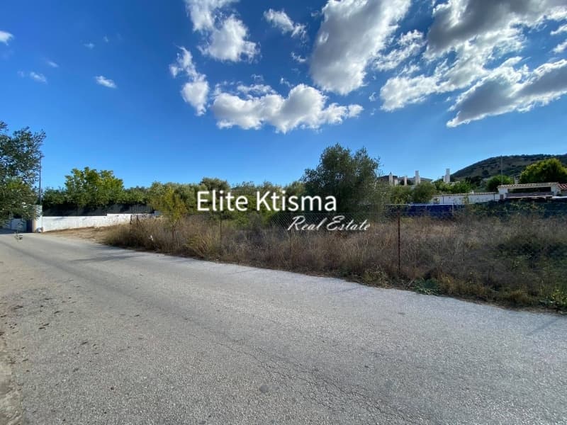 Parcel in Ari, Anavissos — Photo 5 of 5