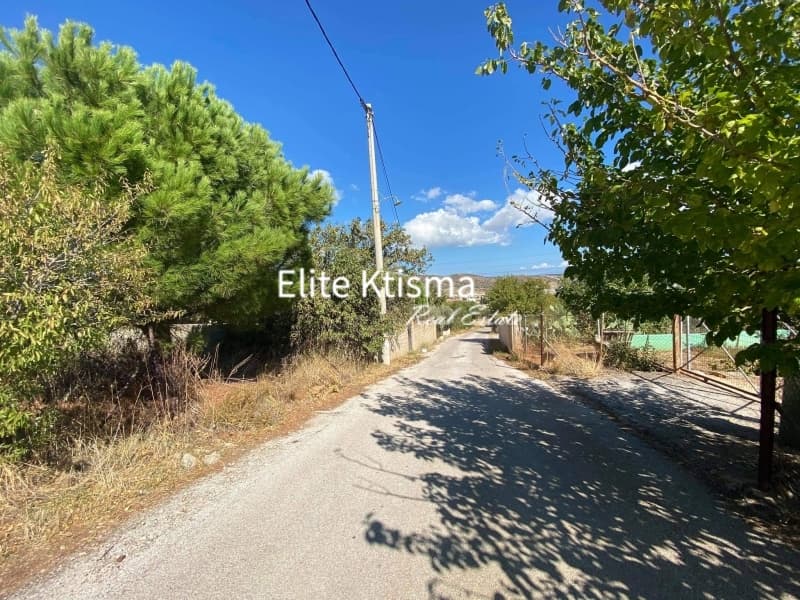 Parcel in Venio Daskaleiou, Keratea — Photo 5 of 7