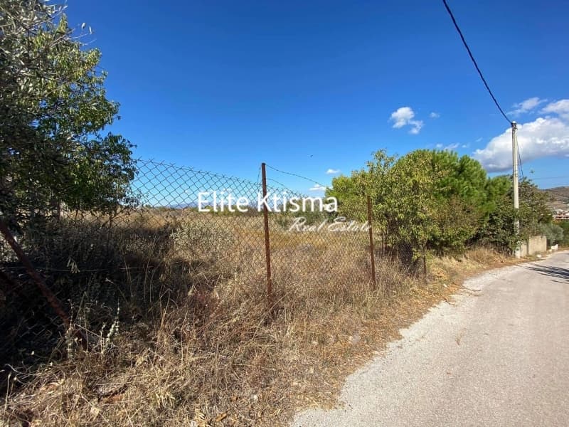 Parcel in Venio Daskaleiou, Keratea — Photo 4 of 7