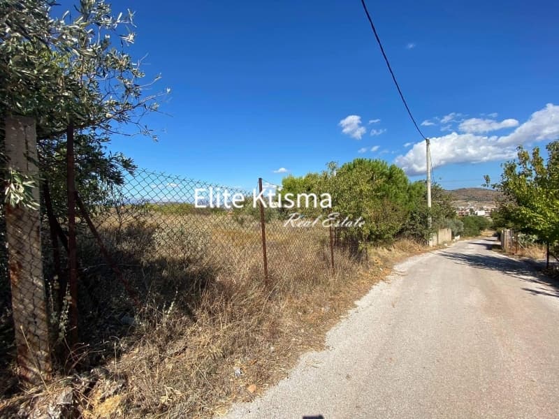 Parcel in Venio Daskaleiou, Keratea — Photo 6 of 7