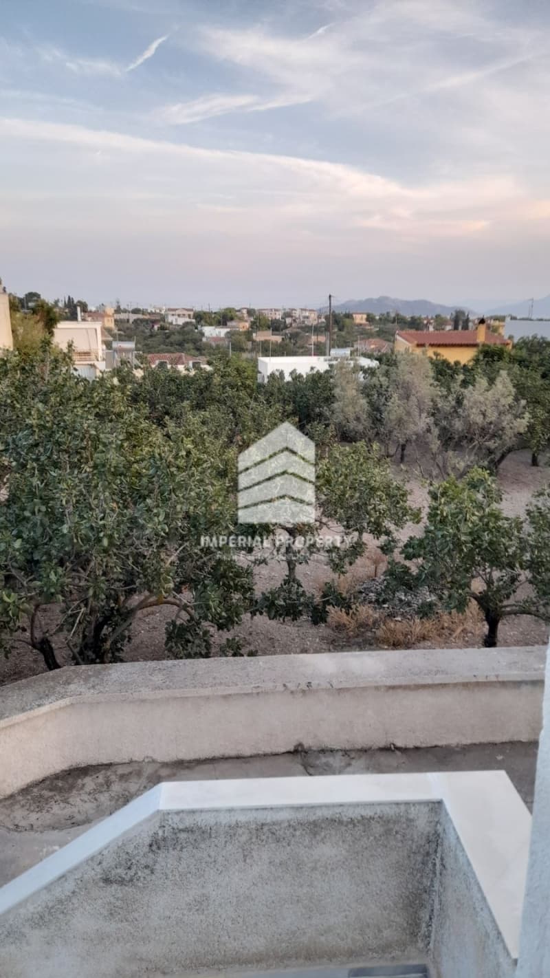 Μονοκατοικία στην Κυψέλη, Αίγινα — Φωτογραφία 25 από 30