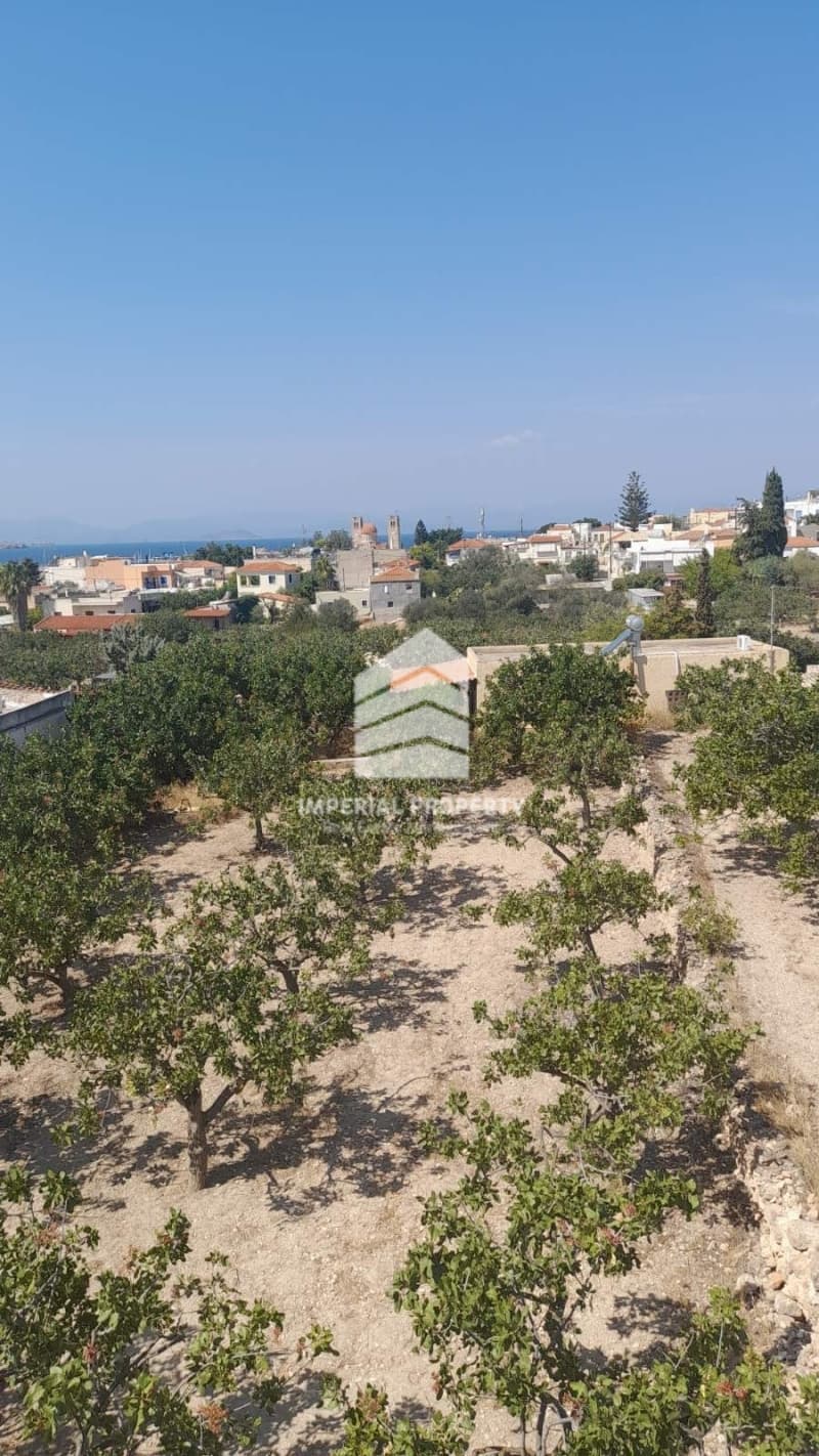 Μονοκατοικία στην Κυψέλη, Αίγινα — Φωτογραφία 18 από 30