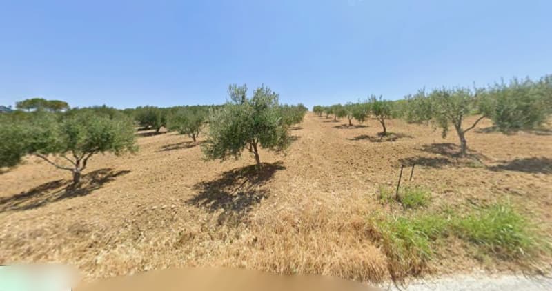 Building Plot in Kera Elaiousa, Archanes — Photo 2 of 2