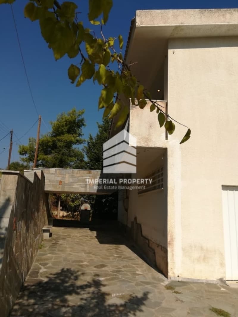Μονοκατοικία στην Πλάτανος, Ακράτα — Φωτογραφία 14 από 30