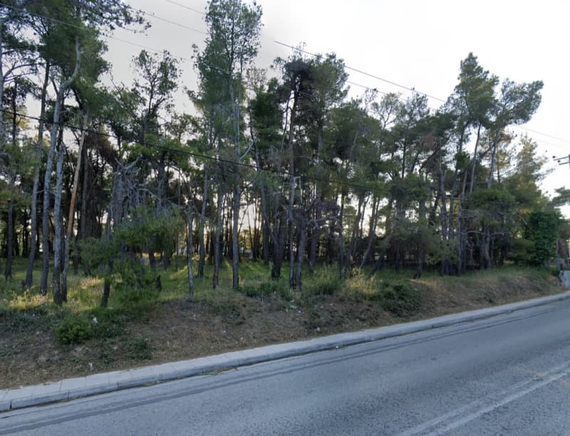Building Plot in Agioi Theodoroi, Anoixi — Photo 4 of 5