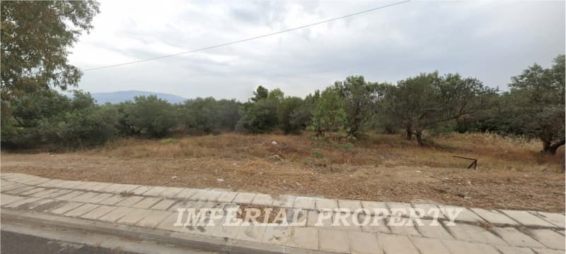 Οικόπεδο στην Μαρκόπουλο, Μαρκόπουλο — Φωτογραφία 1 από 3