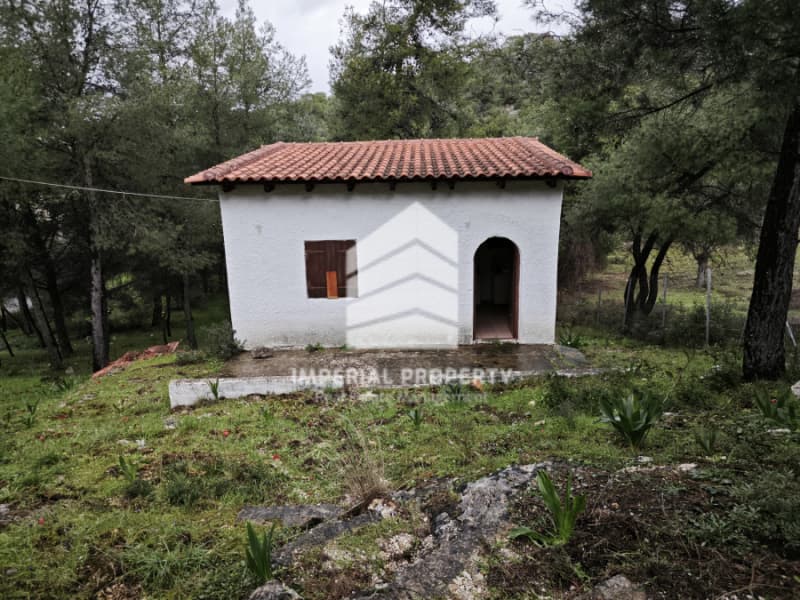 Μονοκατοικία στην Σιδερώνα, Σαρωνικός — Φωτογραφία 2 από 30