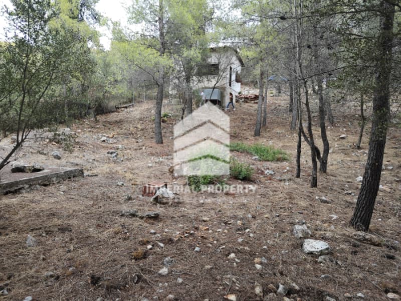 Μονοκατοικία στην Σιδερώνα, Σαρωνικός — Φωτογραφία 30 από 30