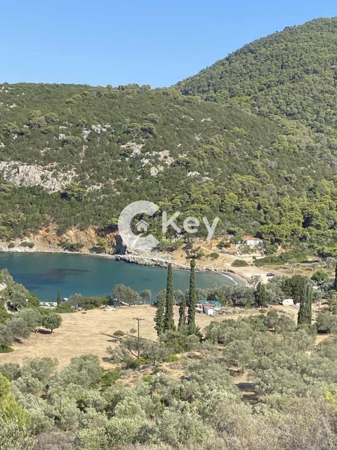 Parcel in Agios Nektarios, Poros — Photo 3 of 9