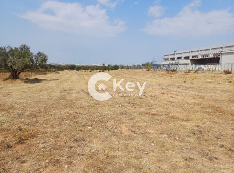 Building Plot in Profarta, Markopoulo — Photo 1 of 2