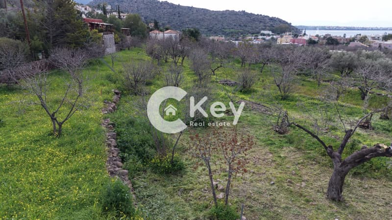 Οικόπεδο στην Μαραθώνας, Αίγινα — Φωτογραφία 6 από 7