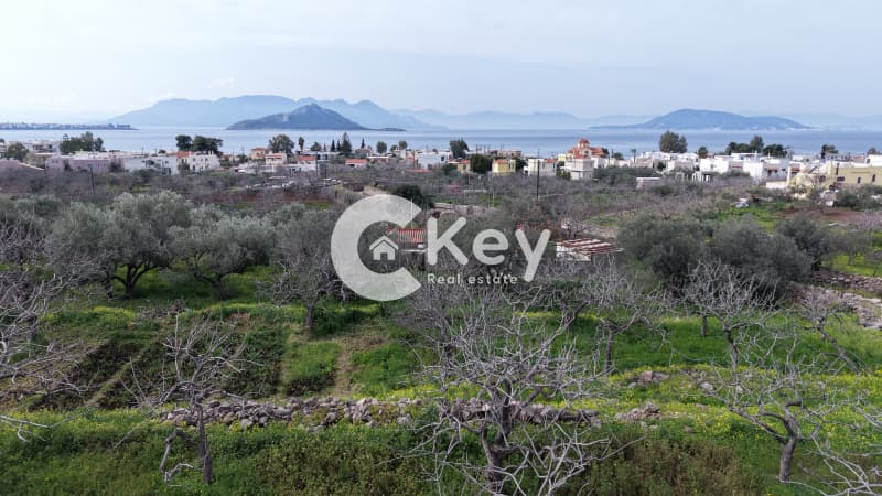 Οικόπεδο στην Μαραθώνας, Αίγινα — Φωτογραφία 1 από 7