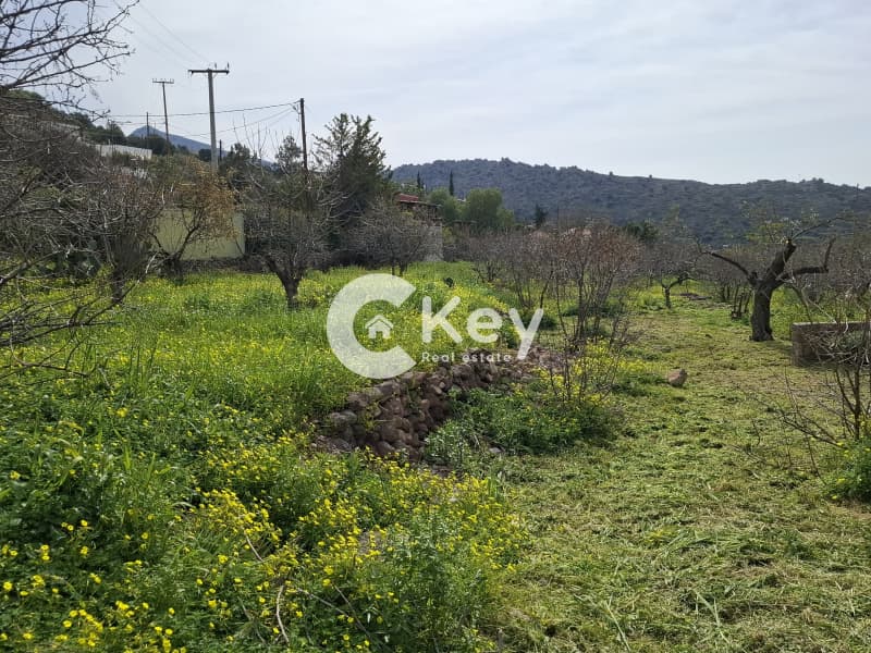 Οικόπεδο στην Μαραθώνας, Αίγινα — Φωτογραφία 7 από 7