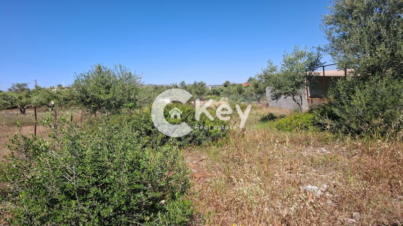 Building Plot in Megalo Ntoroto, Salamina — Photo 4 of 12