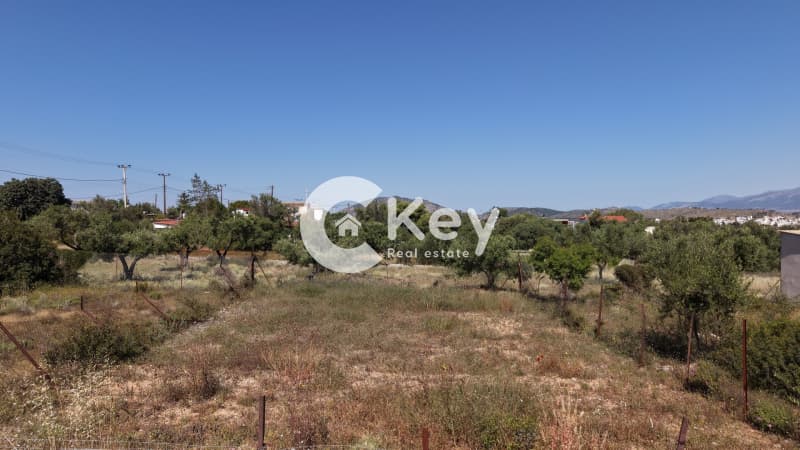 Building Plot in Megalo Ntoroto, Salamina — Photo 8 of 12