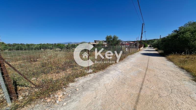 Building Plot in Megalo Ntoroto, Salamina — Photo 6 of 12
