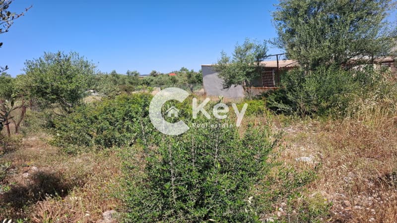 Building Plot in Megalo Ntoroto, Salamina — Photo 5 of 12