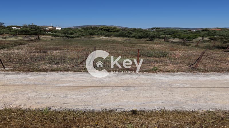 Building Plot in Megalo Ntoroto, Salamina — Photo 10 of 12