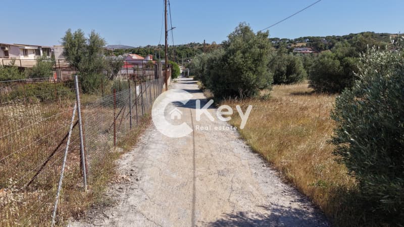 Building Plot in Megalo Ntoroto, Salamina — Photo 12 of 12