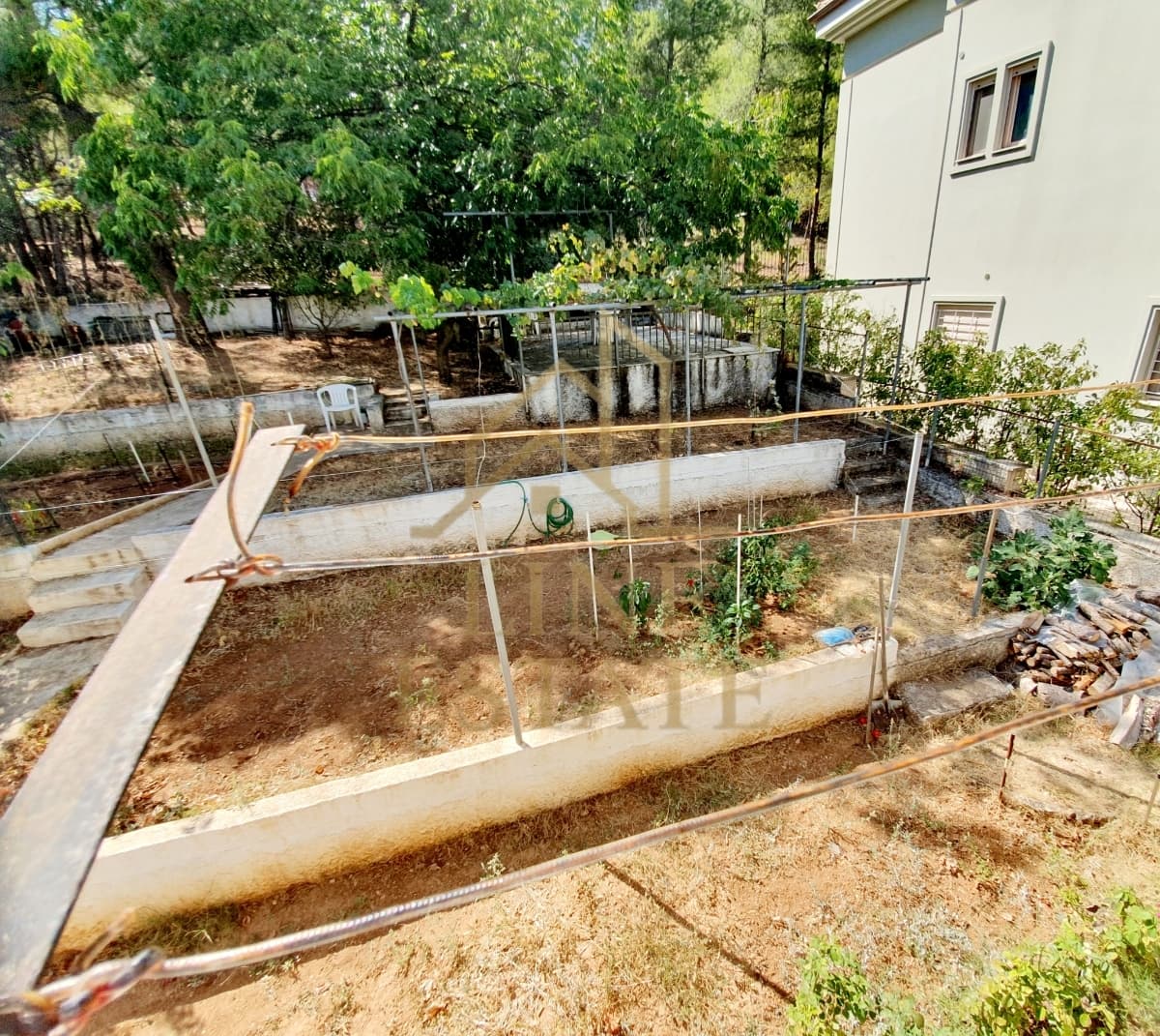 Μονοκατοικία στην Δροσιά, Δροσιά — Φωτογραφία 18 από 21