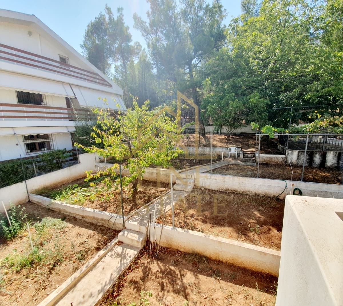 Μονοκατοικία στην Δροσιά, Δροσιά — Φωτογραφία 19 από 21