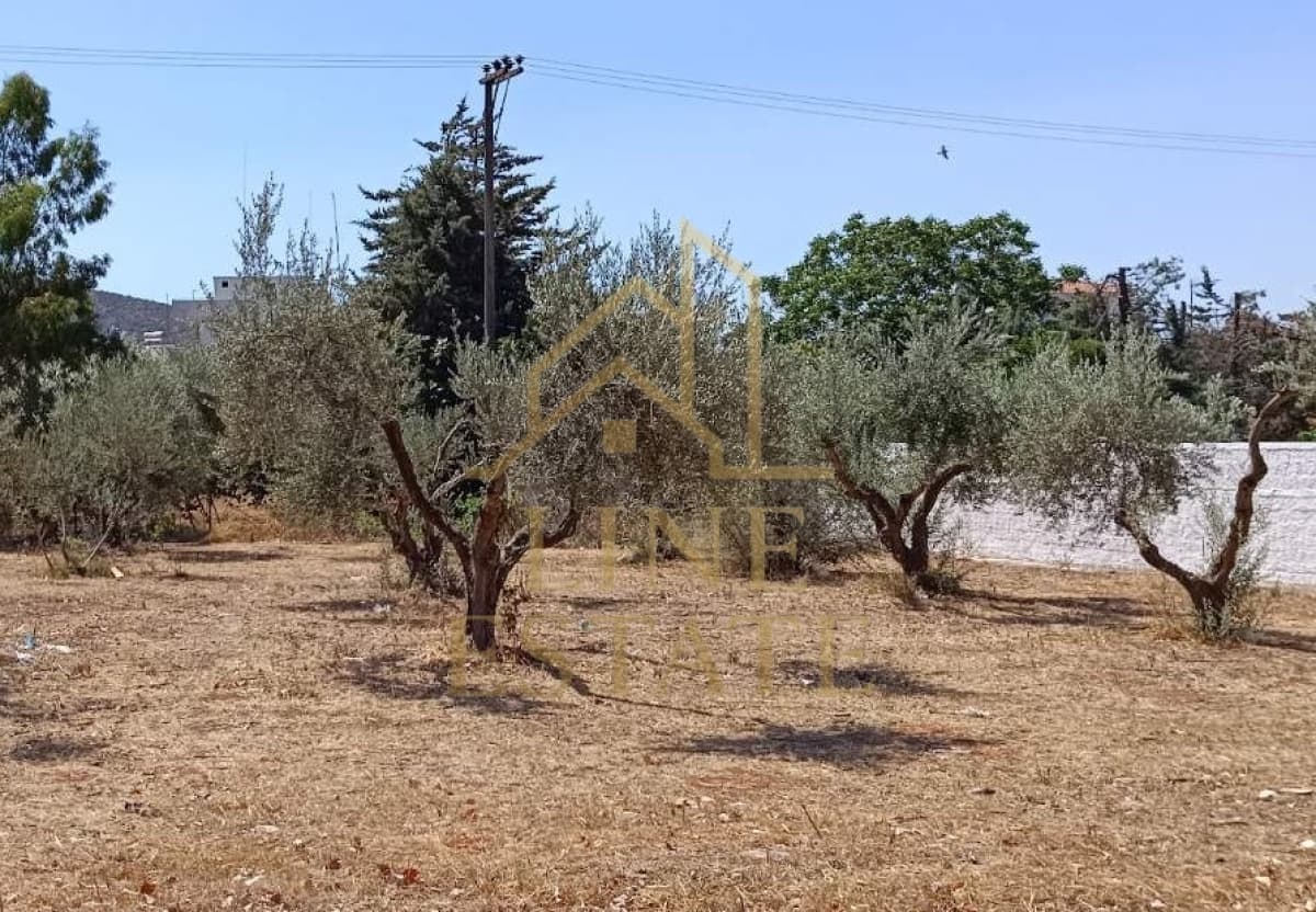 Οικόπεδο στην Κέντρο, Μαραθώνας — Φωτογραφία 9 από 11